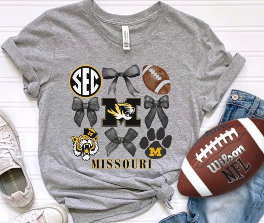 🏈 Missouri