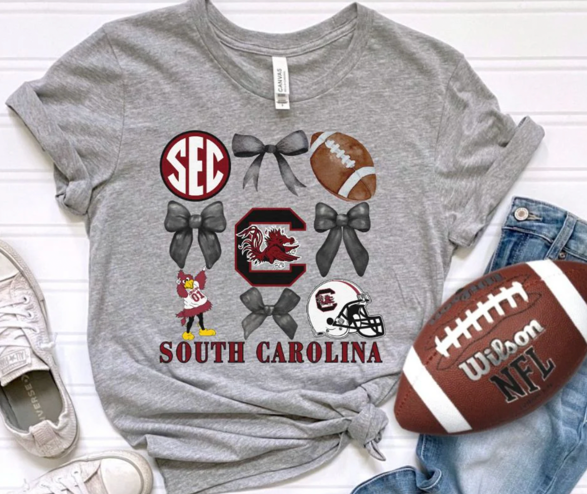 🏈 South Carolina